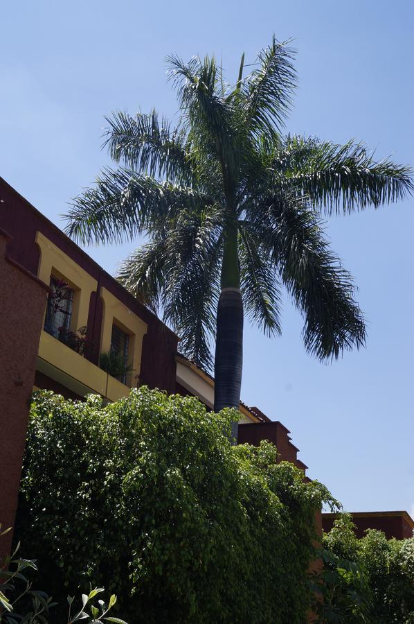 Suites Parador Santo Domingo De G. Oaxaca Extérieur photo